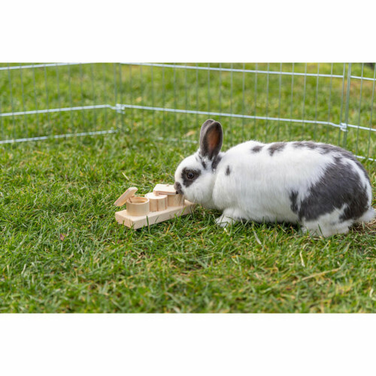 V7H95941C4526BA3699D57113363DCCD19FR7457619P4