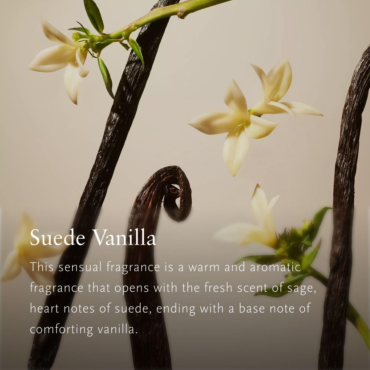 V3HE3FDF9088B5B9B77BE7067627B290807R7591240P3